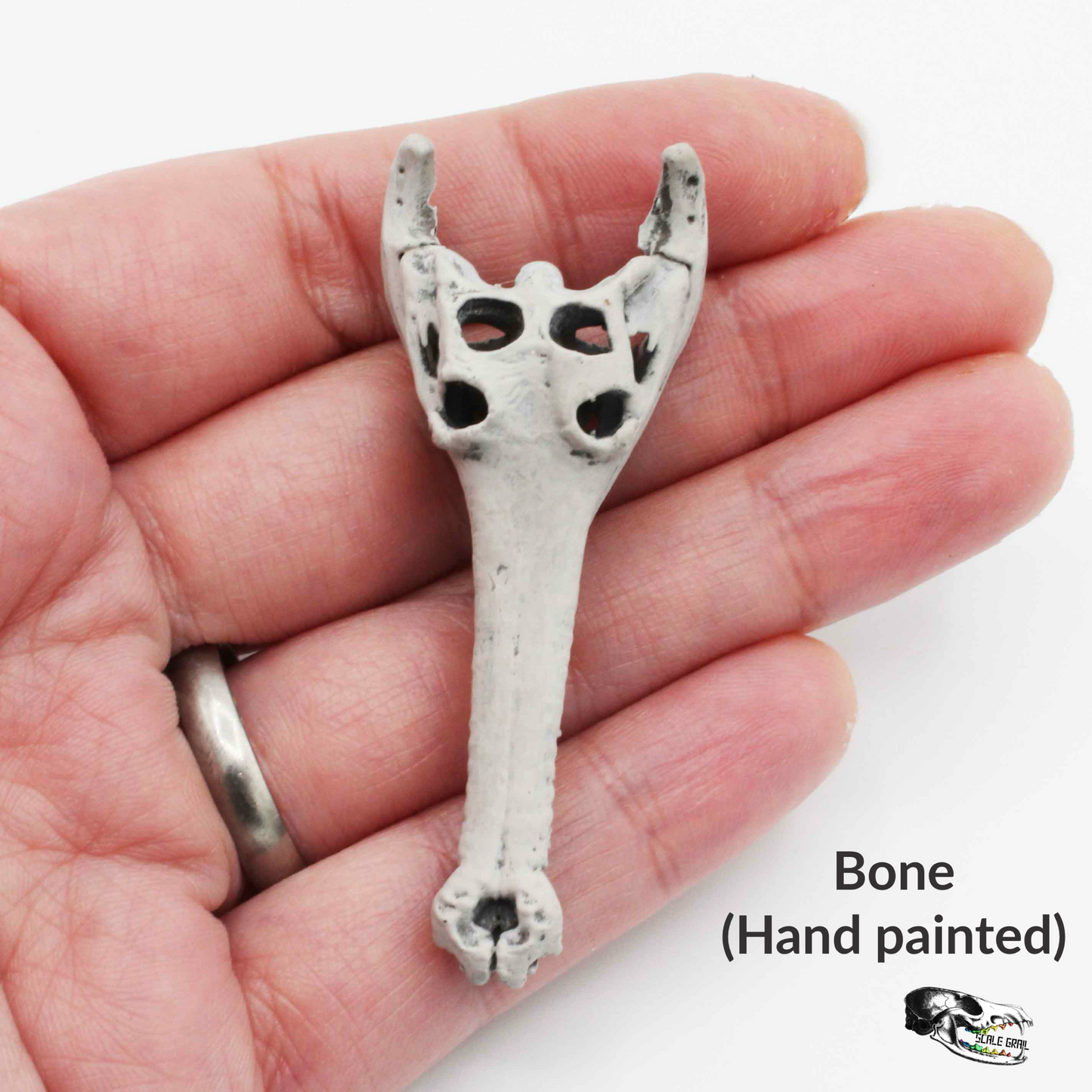 1:12 scale Gharial Skull 1:12 Scale replica reptile miniature for dollhouse diorama art craft supplies (1 skull) miniature — made in NC, USA