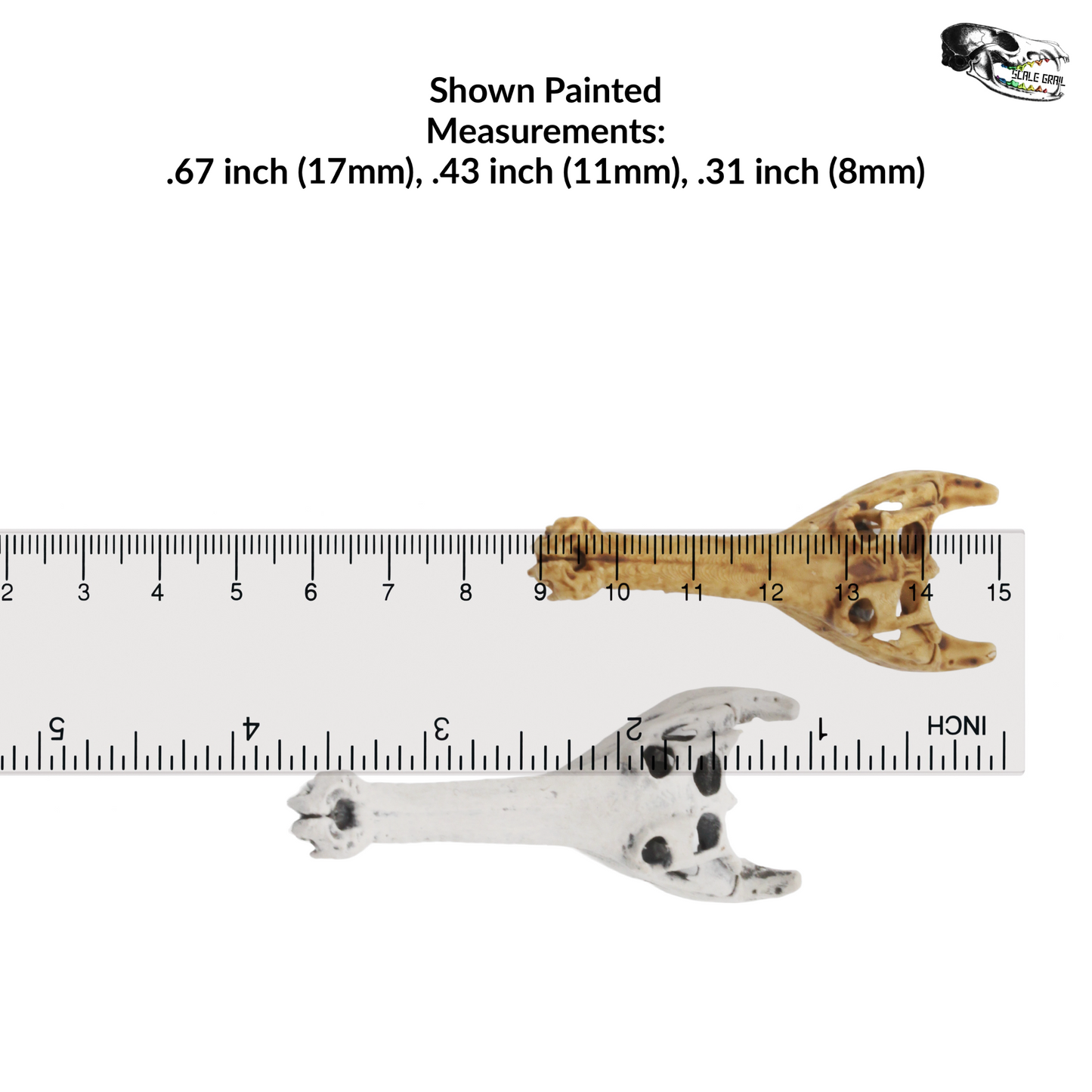 1:12 scale Gharial Skull 1:12 Scale replica reptile miniature for dollhouse diorama art craft supplies (1 skull) miniature detail view — 3D printed resin