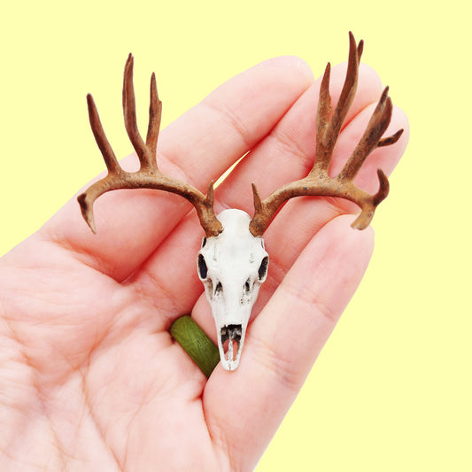 Mule Deer Skull - 1:12 Scale