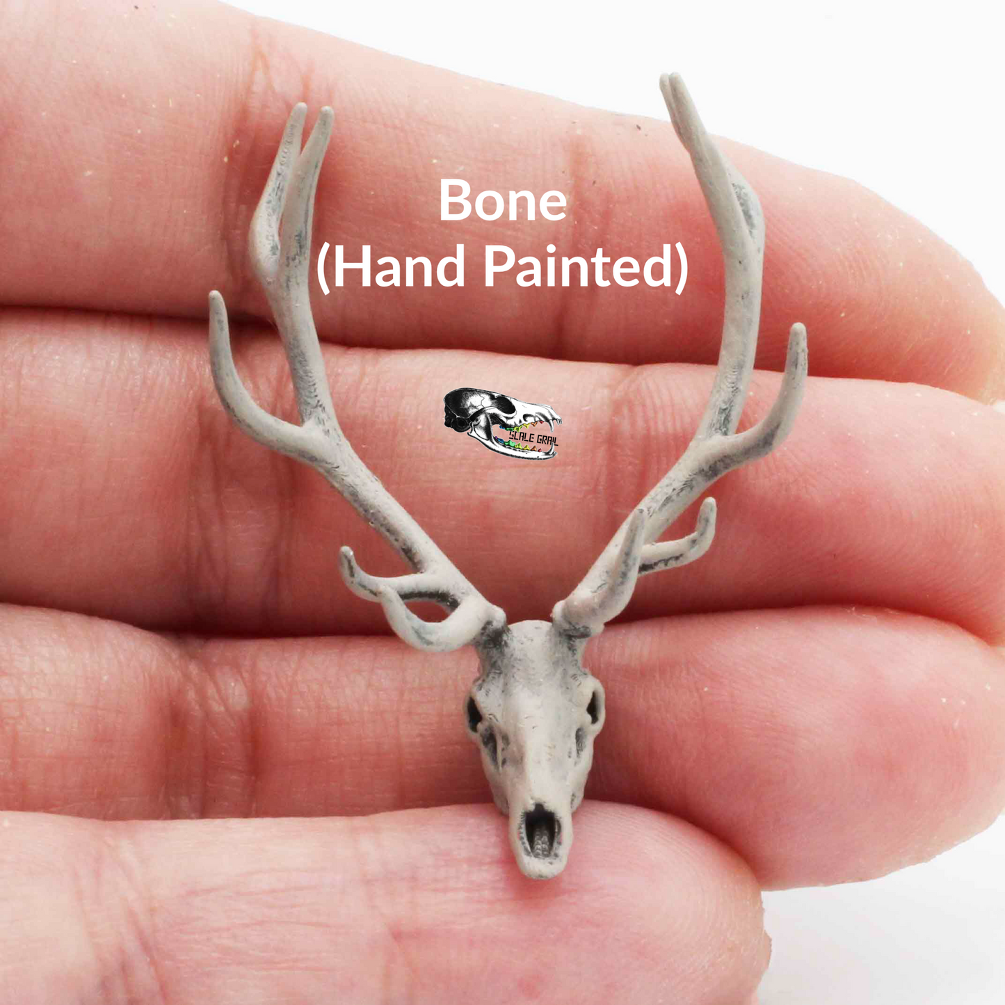 1:24 scale Red Deer Skull - 1:24 Scale Replica Miniature for Dollhouse, Diorama, Curiosities and Oddities (1 skull) miniature side view — The Scale Grail