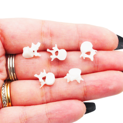 Vertebrae MICRO miniature — handmade resin scale model by The Scale Grail