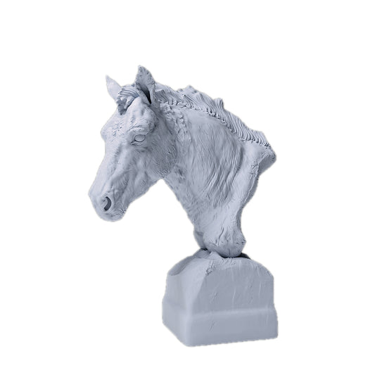 Przewalski’s Horse Bust | Animal Den Miniatures