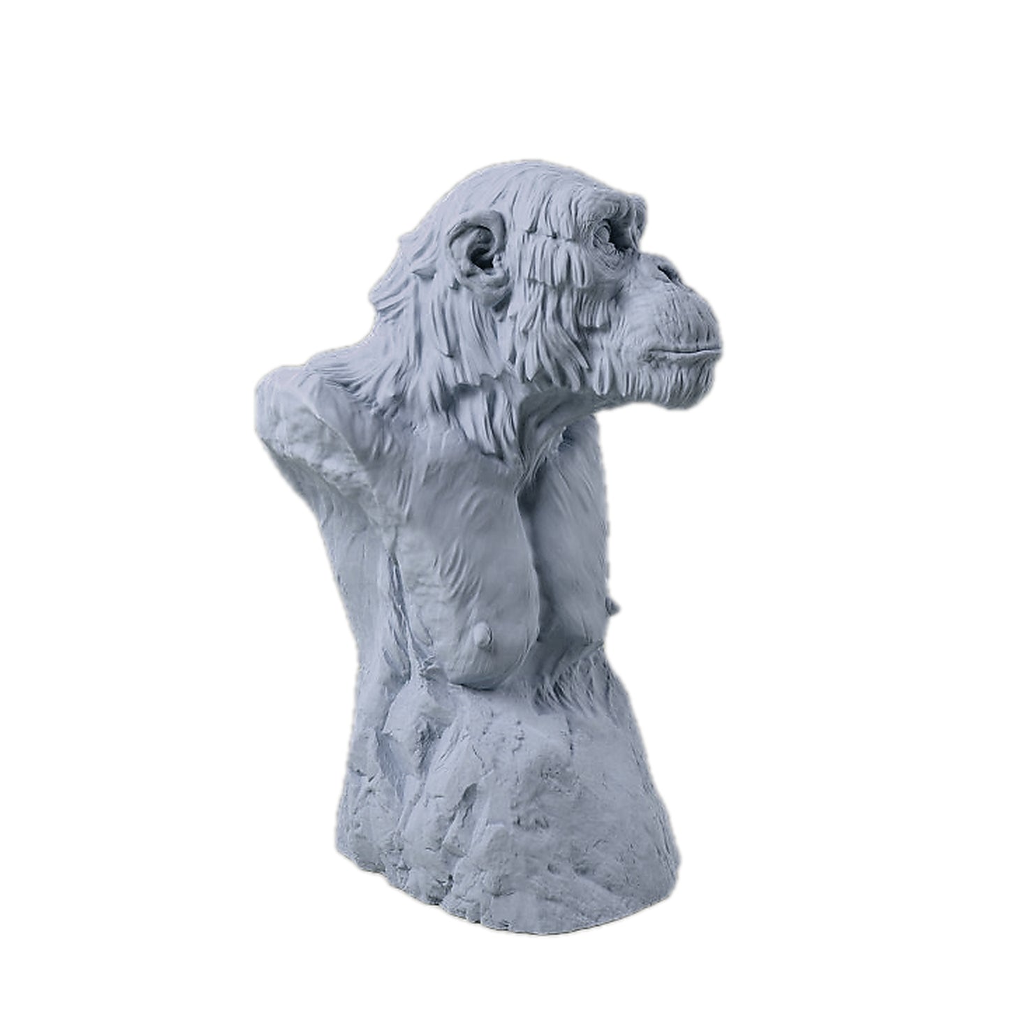 1:12 scale Common Chimpanzee Bust | Animal Den Miniatures miniature side view — The Scale Grail