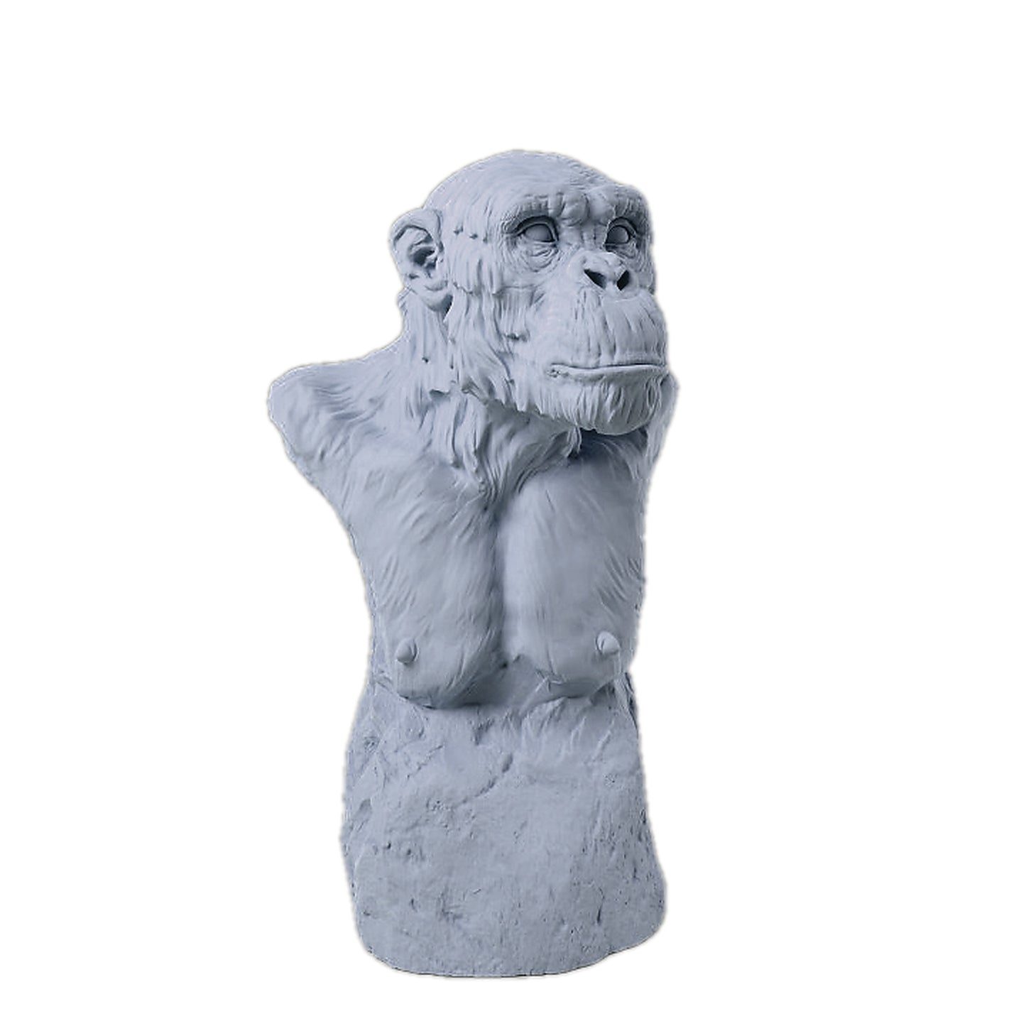 1:12 scale Common Chimpanzee Bust | Animal Den Miniatures miniature — handmade resin scale model by The Scale Grail