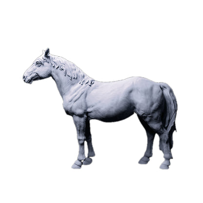 Konik Horse  | Animal Den Miniatures