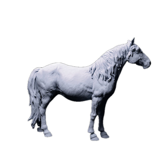 Konik Horse  | Animal Den Miniatures