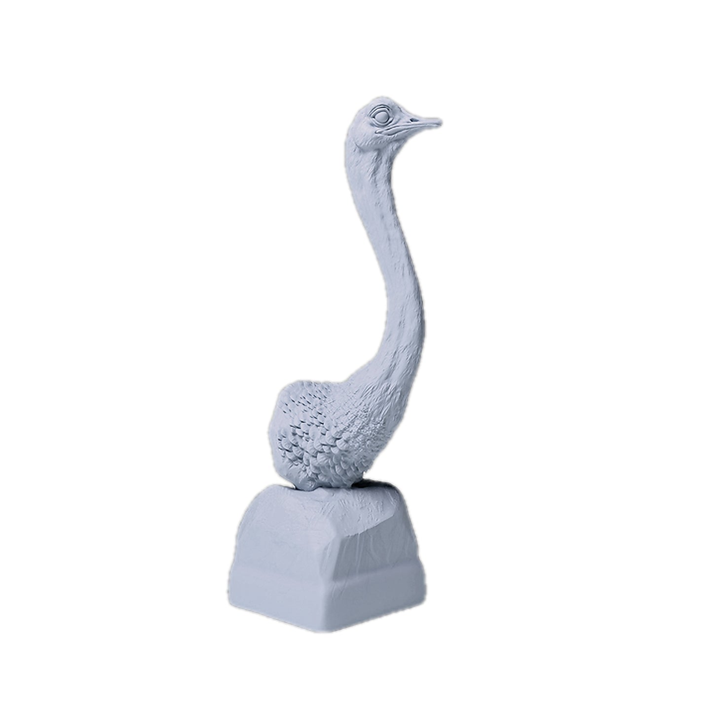 1:12 scale North African Ostrich Bust | Animal Den Miniatures miniature detail view — 3D printed resin
