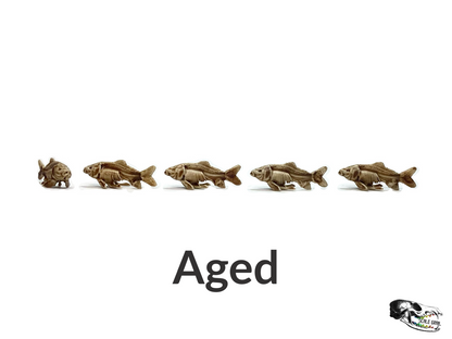 Fish Skeleton Replica