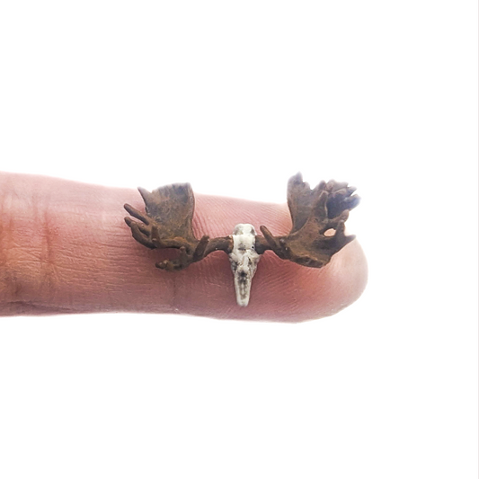 Moose skull replica, 1:48 scale miniature cranium for fairy garden, dioramas, dollhouses, art craft supply, realistic resin insert (1 skull)