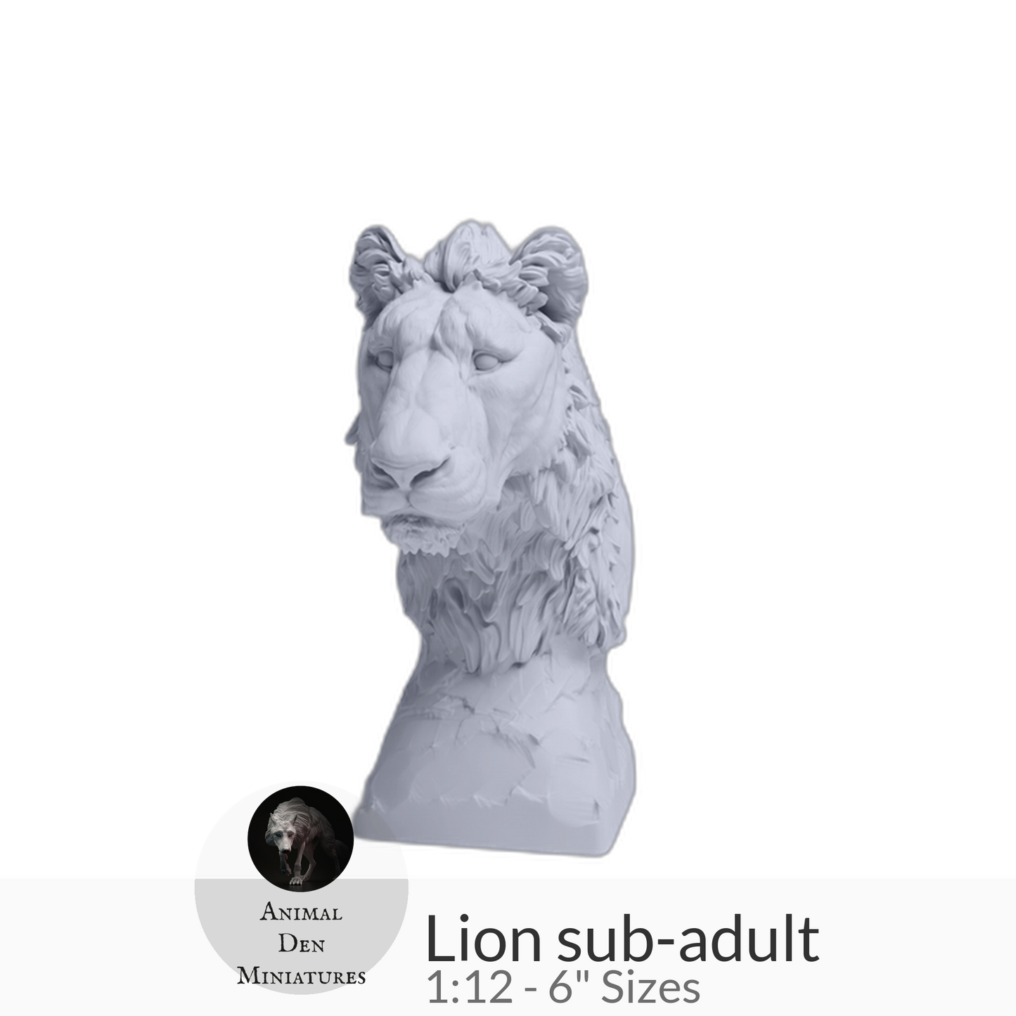 Lion sub-adult Bust by Animal Den Miniatures – 25 mm, 4 in, 6 in Sizes miniature — handmade resin scale model by The Scale Grail