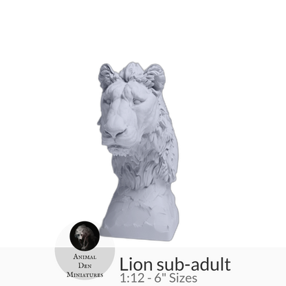 Lion sub-adult Bust by Animal Den Miniatures – 25 mm, 4 in, 6 in Sizes miniature — handmade resin scale model by The Scale Grail