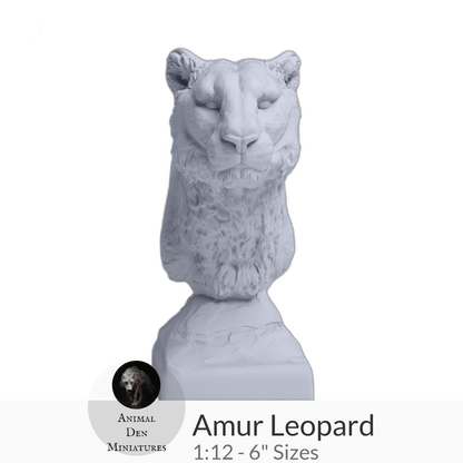 1:12 scale Amur Leopard Bust by Animal Den Miniatures - 25 mm, 4 in, 6 in Sizes miniature — handmade resin scale model by The Scale Grail