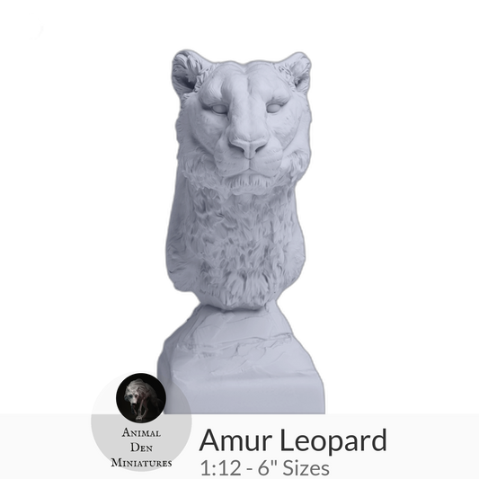 1:12 scale Amur Leopard Bust by Animal Den Miniatures - 25 mm, 4 in, 6 in Sizes miniature — handmade resin scale model by The Scale Grail