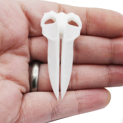Blue Whale - Skull Replica miniature animal skulls by The Scale Grail