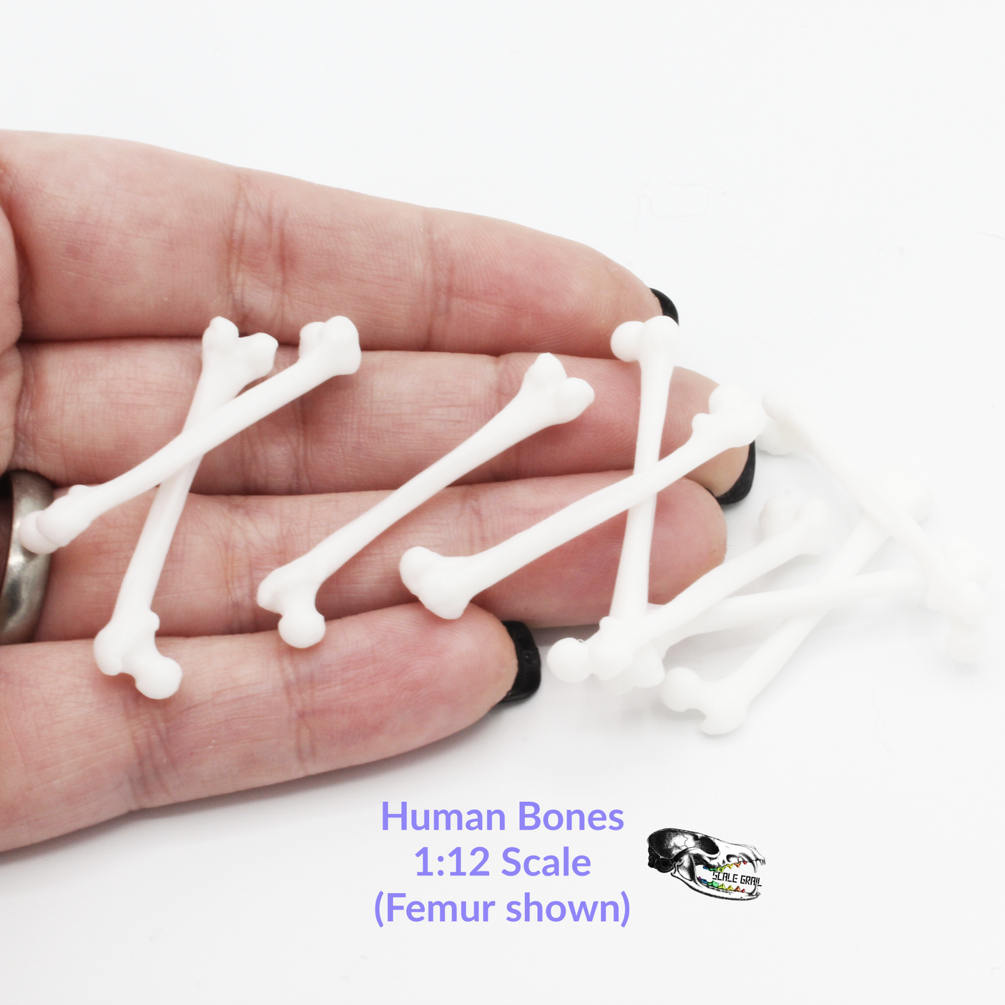 1:12 scale Human Bones - 1:12 Scale Femur bone replica model for diorama, dollhouse, art and craft supplies (10 bones) miniature — handmade resin scale model by The Scale Grail