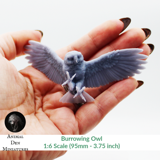 1:12 scale Burrowing Owl - Flying Miniature | Athene cunicularia Replica by Animal Den Miniatures – 10mm to 7" Sizes miniature — handmade resin scale model by The Scale Grail