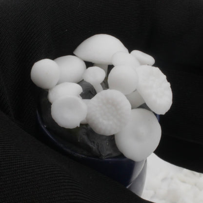 Mushrooms - 1:12 Scale fungus for dollhouse and diorama 3d model by The Scale Grail (6 pieces)