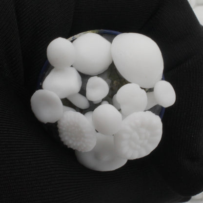 Mushrooms - 1:12 Scale fungus for dollhouse and diorama 3d model by The Scale Grail (6 pieces)