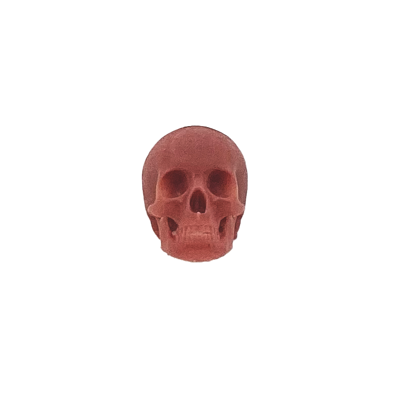 Human skulls with Flat Back, human skulls with jaw for horror dioramas, terrariums, dollhouse, arts and crafts accessories choose a size