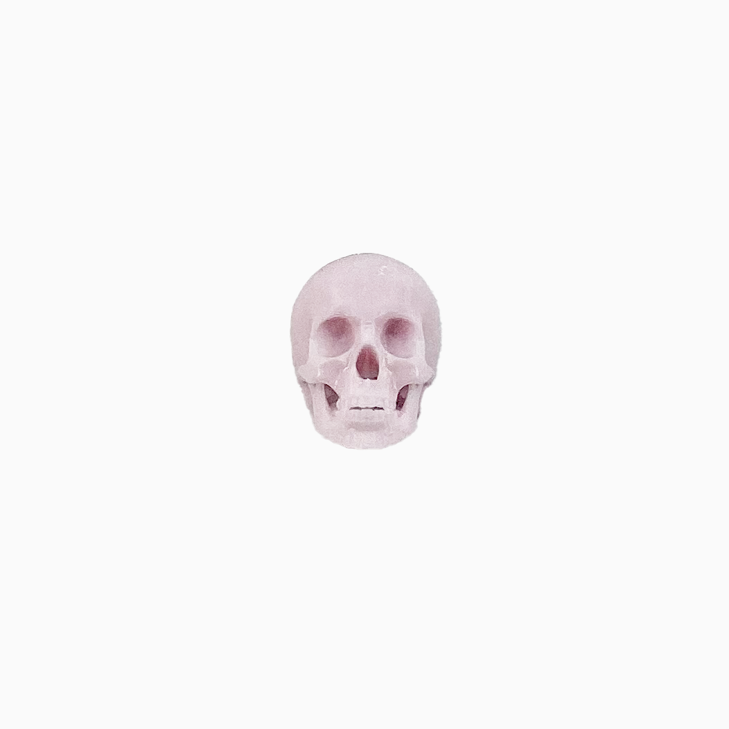 Human skulls with Flat Back, human skulls with jaw for horror dioramas, terrariums, dollhouse, arts and crafts accessories choose a size