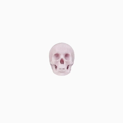 Human skulls with Flat Back, human skulls with jaw for horror dioramas, terrariums, dollhouse, arts and crafts accessories choose a size