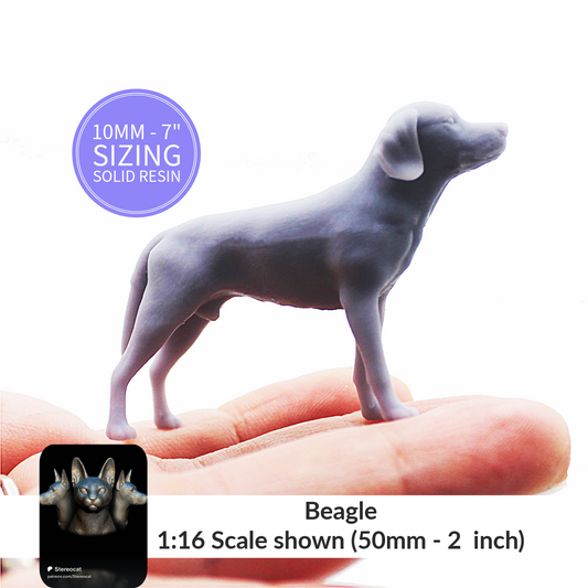 1:12 scale Beagle Miniature by Stereocat – 10mm to 7" Sizes miniature — handmade resin scale model by The Scale Grail