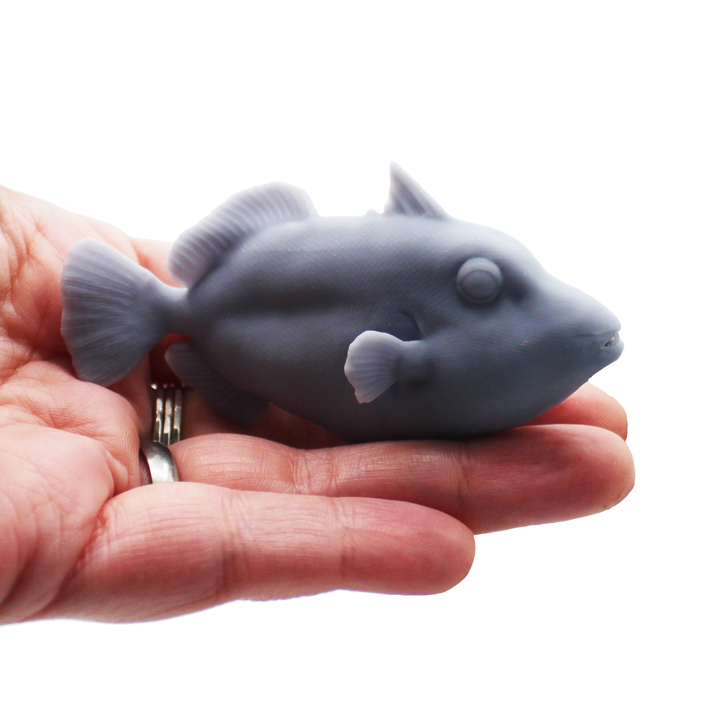 1:12 scale Clown Trigger Fish Miniature | Balistoides conspicillum Replica by Animal Den Miniatures - 10mm to 7" Sizes miniature detail view — 3D printed resin