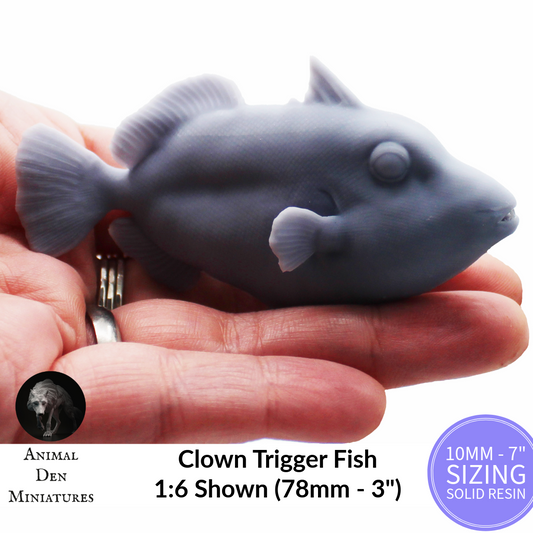 1:12 scale Clown Trigger Fish Miniature | Balistoides conspicillum Replica by Animal Den Miniatures - 10mm to 7" Sizes miniature — handmade resin scale model by The Scale Grail