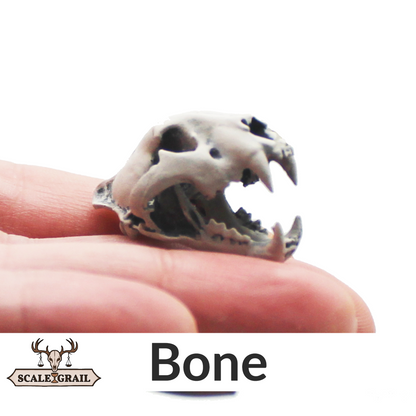 1:12 scale Tiger Skull Miniature | Panthera tigris Replica by The Scale Grail - 10mm to 7" Sizes miniature — made in NC, USA