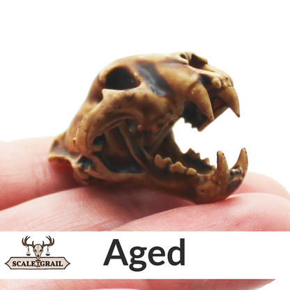 1:12 scale Tiger Skull Miniature | Panthera tigris Replica by The Scale Grail - 10mm to 7" Sizes miniature side view — The Scale Grail