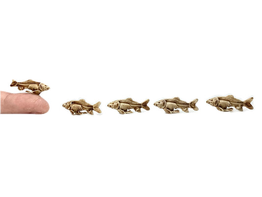 Fish Skeleton Replica