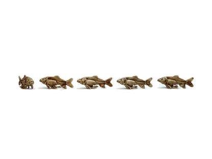 Fish Skeleton Replica