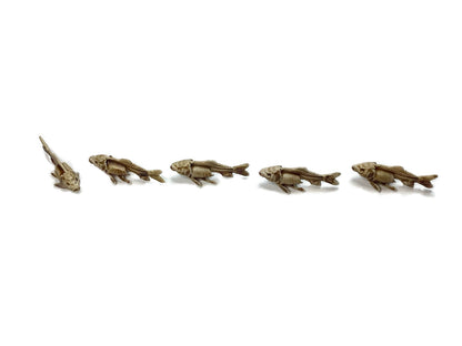 Fish Skeleton Replica