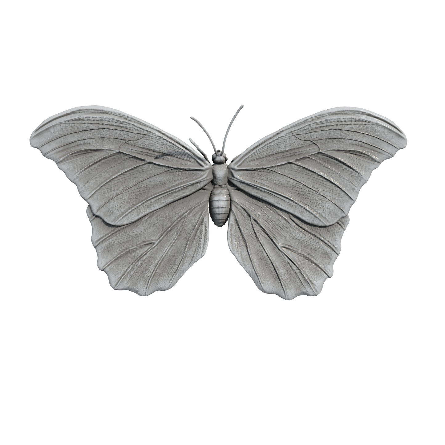 1:12 scale Blue Morpho Miniature | Blue morpho Replica by Animal Den Miniatures - 10mm to 7" Sizes miniature — handmade resin scale model by The Scale Grail