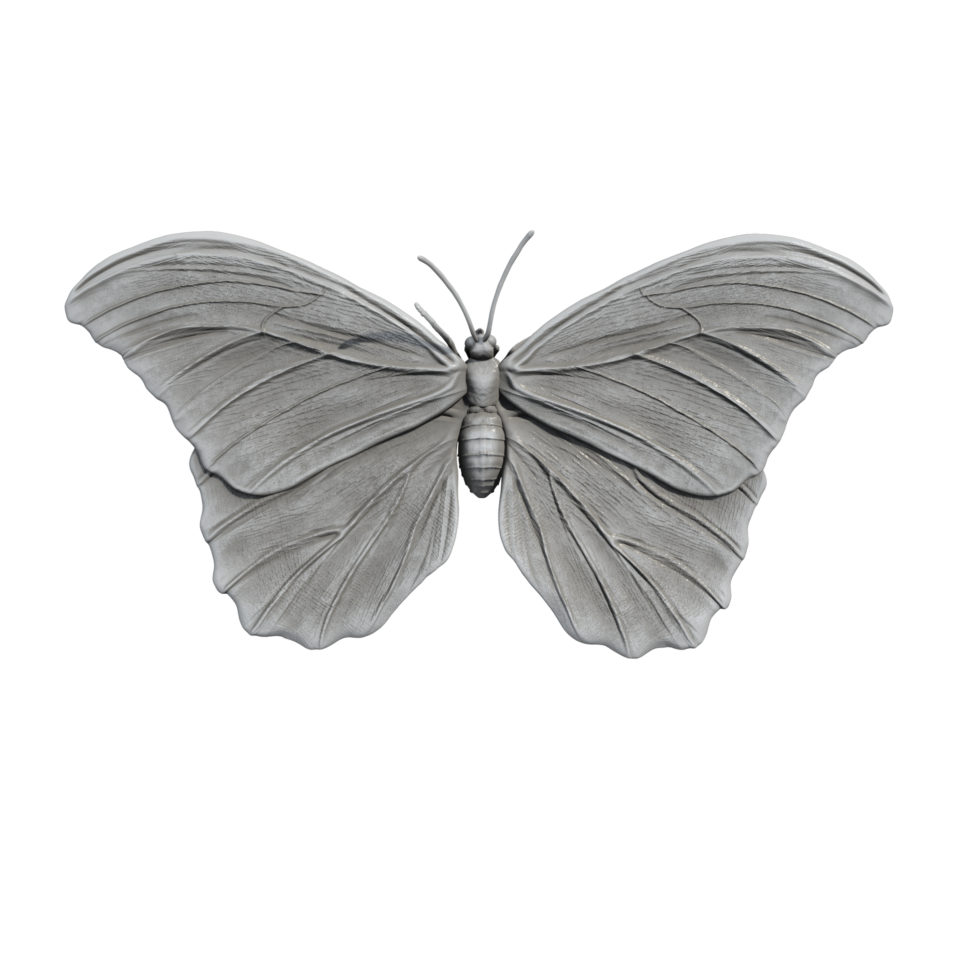 1:12 scale Blue Morpho Miniature | Blue morpho Replica by Animal Den Miniatures - 10mm to 7" Sizes miniature — handmade resin scale model by The Scale Grail