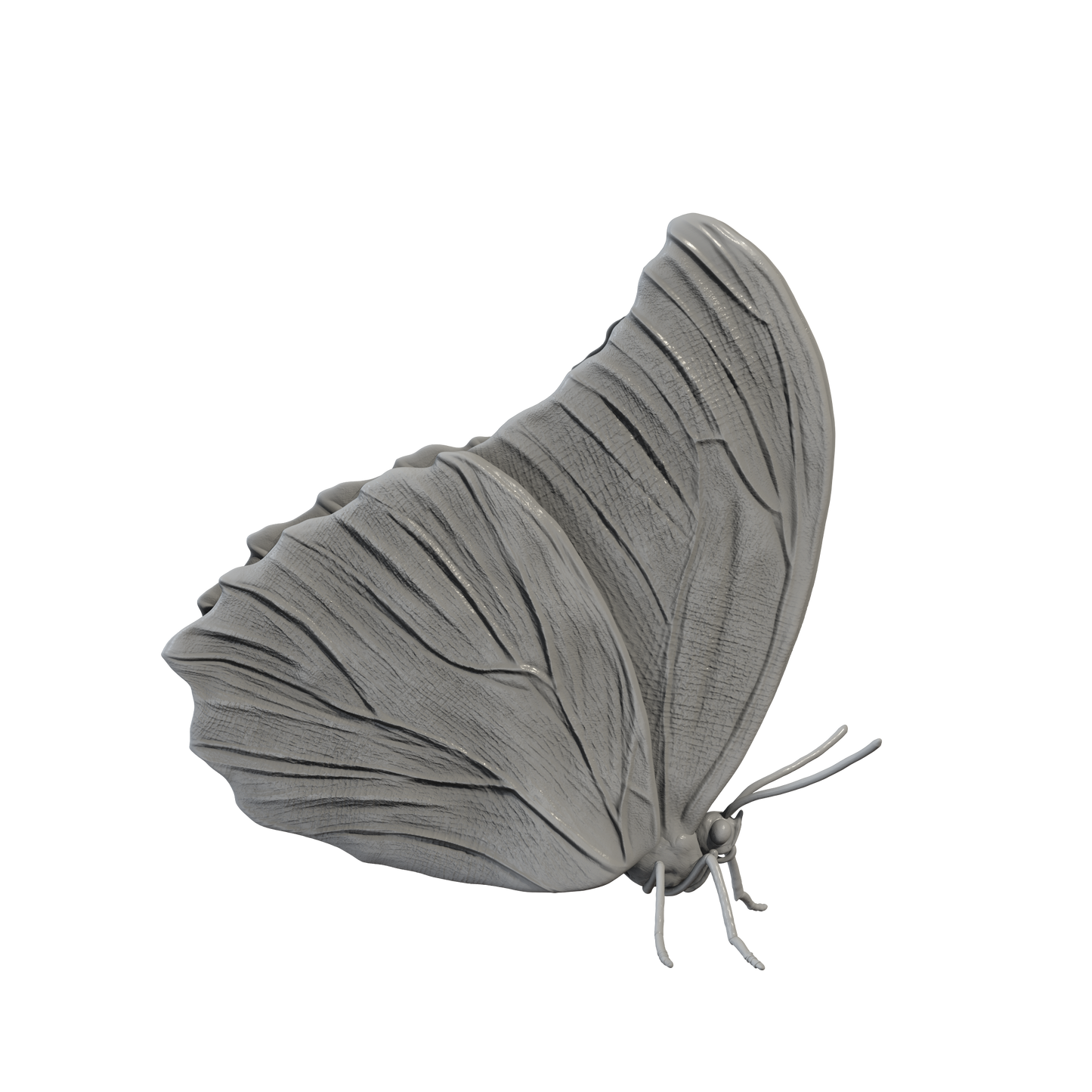 Blue Morpho with Closed Wings Miniature | Blue morpho Replica by Animal Den Miniatures - 10mm to 7" Sizes miniature — handmade resin scale model by The Scale Grail