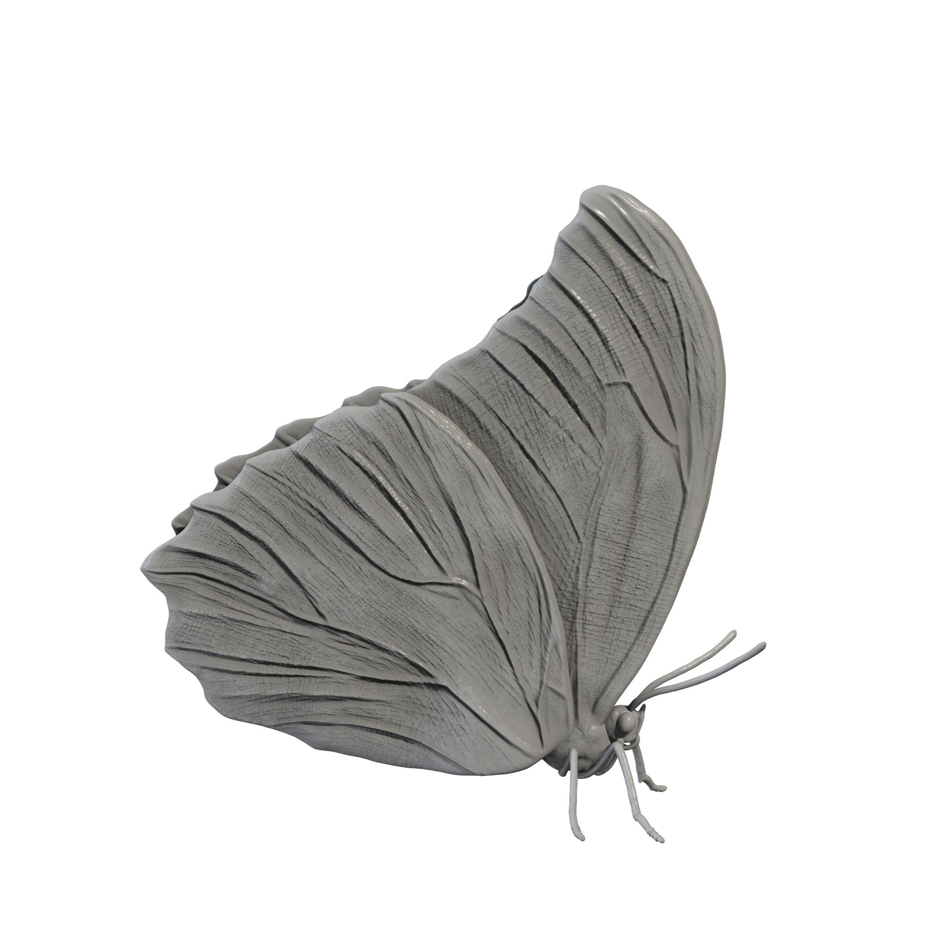 Blue Morpho with Closed Wings Miniature | Blue morpho Replica by Animal Den Miniatures - 10mm to 7" Sizes miniature — handmade resin scale model by The Scale Grail