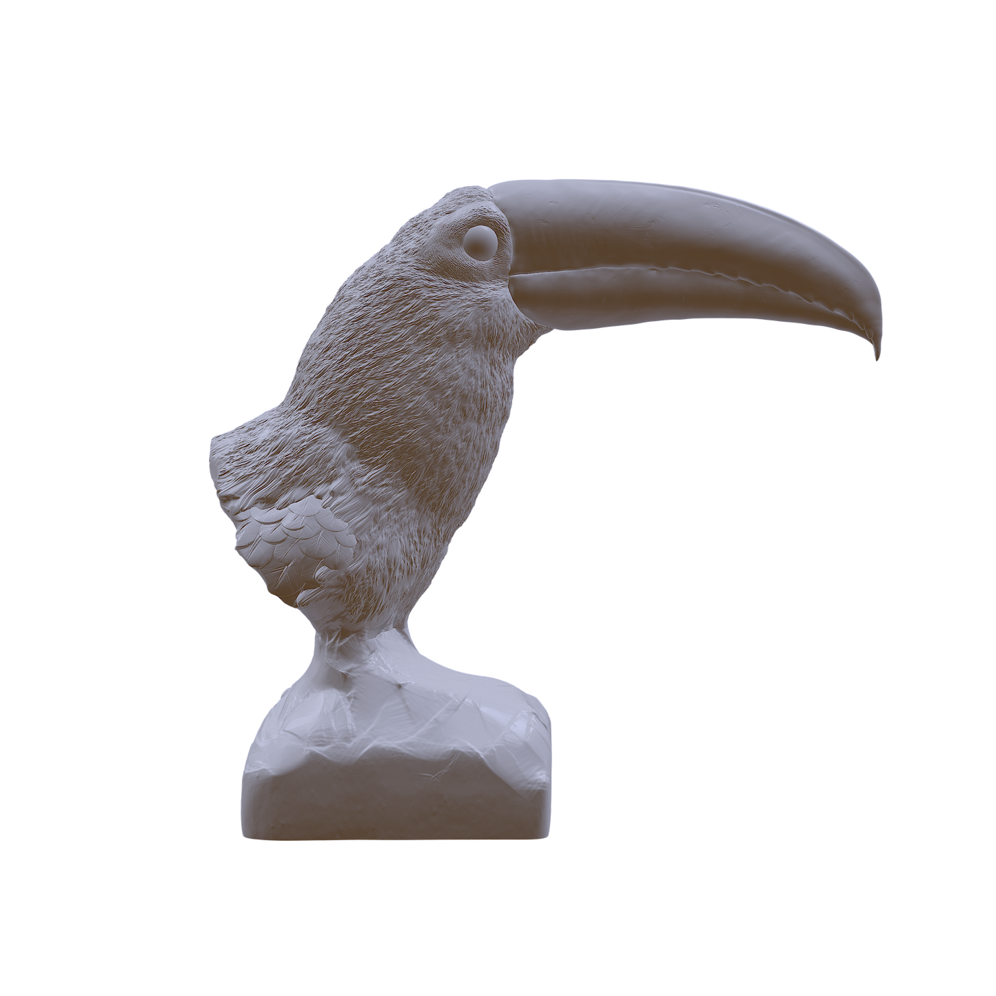 Toco Toucan Bust by Animal Den Miniatures 25 mm, 4 in, 6 in Sizes miniature — handmade resin scale model by The Scale Grail