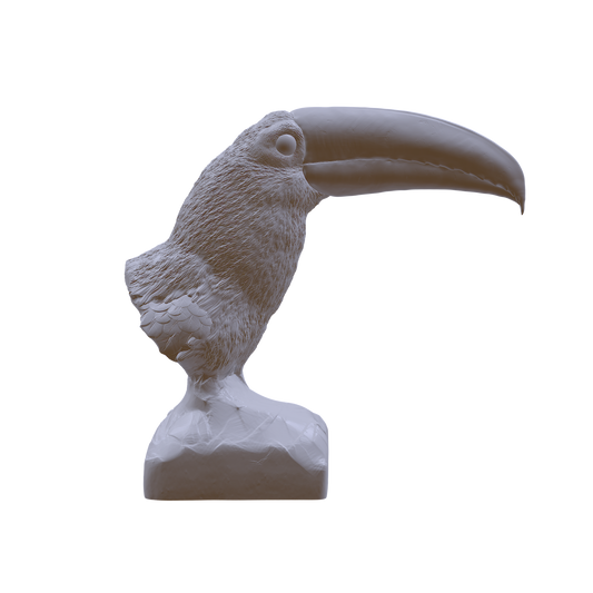 Toco Toucan Bust by Animal Den Miniatures 25 mm, 4 in, 6 in Sizes miniature — handmade resin scale model by The Scale Grail