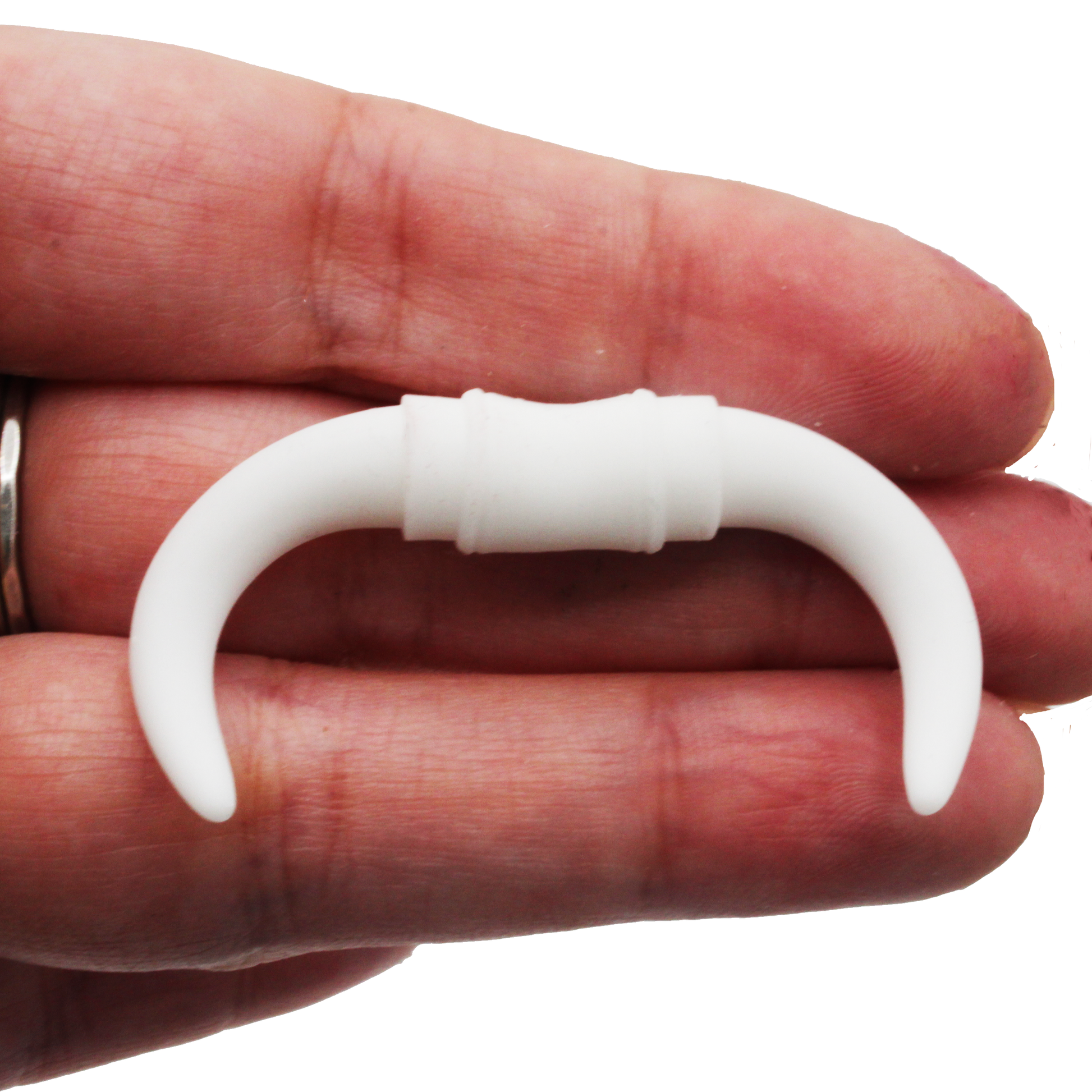 1:12 scale Cattle Horns mount miniature taxidermy (1:12 Scale) miniature — handmade resin scale model by The Scale Grail