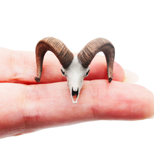 1:24 scale Big horn sheep skull replica, 1:24 scale miniature cranium for fairy garden, dioramas, dollhouses, art craft supply, realistic resin insert  Field Bones #82 by The Scale Grail (1 skull) miniature — handmade resin scale model by The Scale Grail