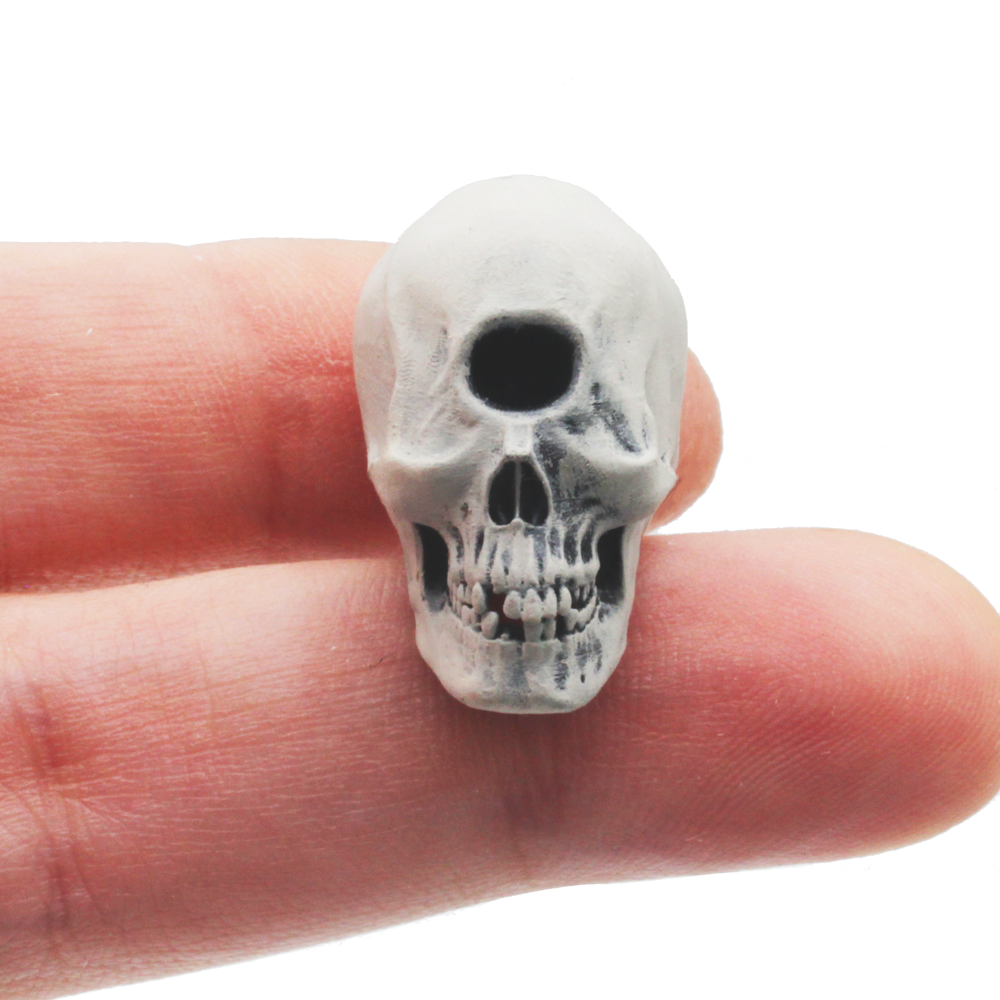 1:12 scale Cyclops Skull Replica 1:12 miniature — handmade resin scale model by The Scale Grail