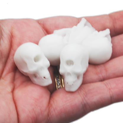 1:12 scale Cyclops Skull Replica 1:12 miniature side view — The Scale Grail