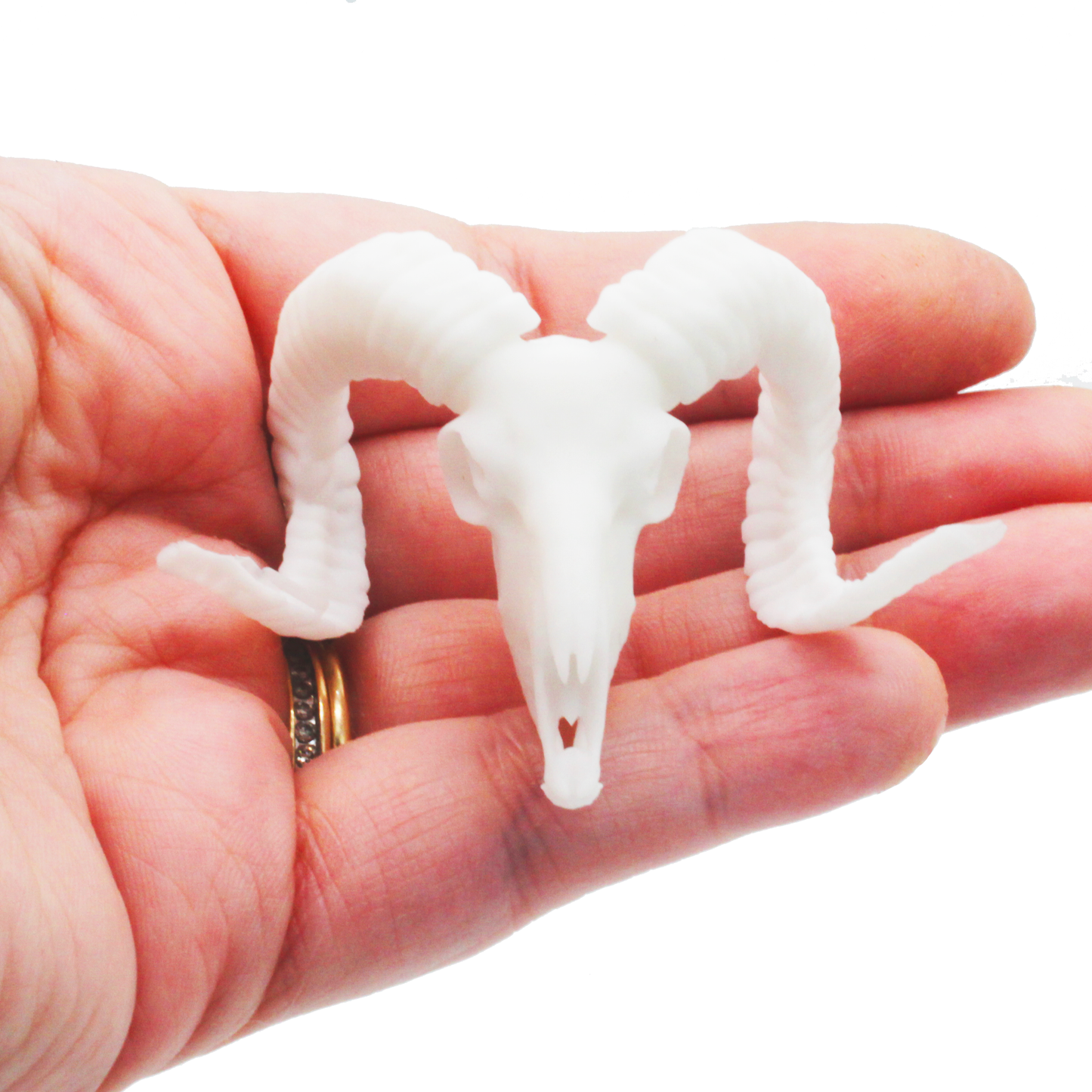 1:12 scale Mouflon Skull Replica 1:12 miniature detail view — 3D printed resin