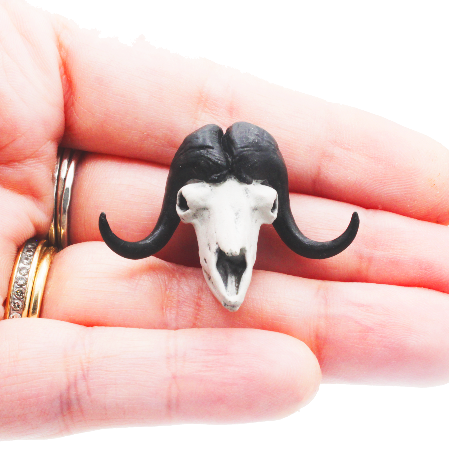 1:12 scale Muskox Skull Replica 1:12 miniature — handmade resin scale model by The Scale Grail