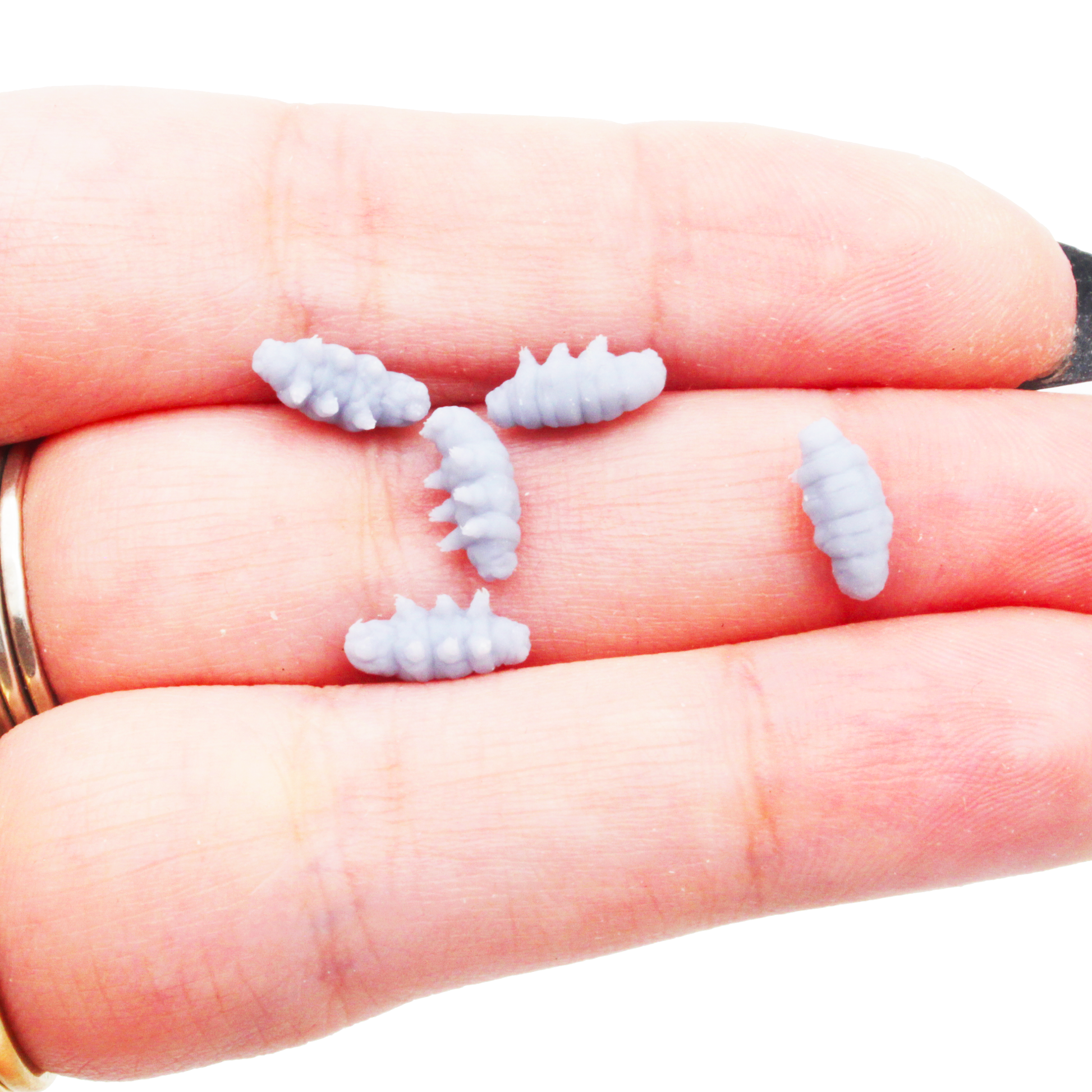 Tardigrade MICROS miniature — handmade resin scale model by The Scale Grail