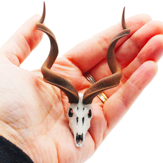 1:12 scale Kudu Skull Replica 1:12 miniature — handmade resin scale model by The Scale Grail