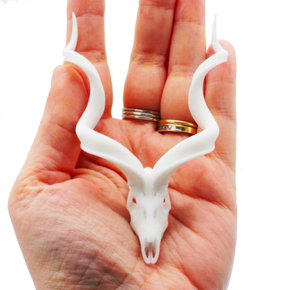 1:12 scale Kudu Skull Replica 1:12 miniature detail view — 3D printed resin