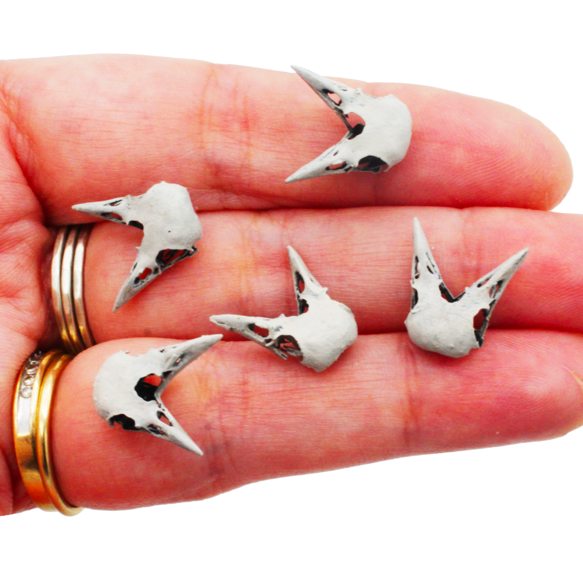 Raven Skull MICROS miniature — handmade resin scale model by The Scale Grail