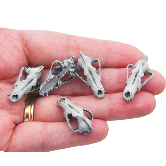 Dire Wolf Skull Miniature (Field Bones #129: Extinct) 1:12 Replica Collectible for Dollhouse and Diorama by The Scale Grail